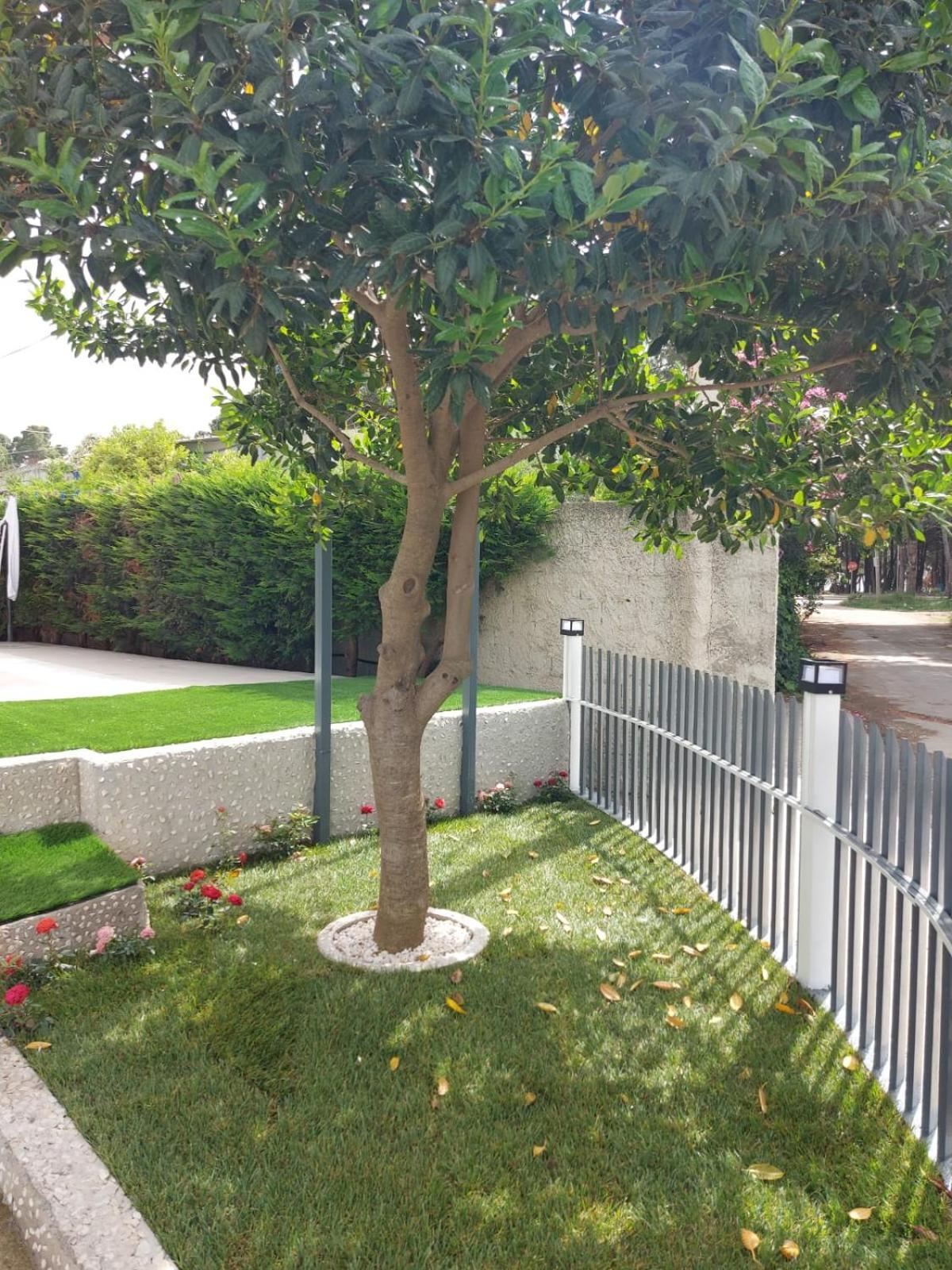 Vlorë Vila Green Relax מראה חיצוני תמונה